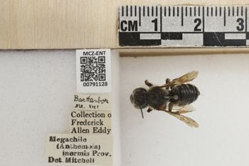 Media type: image;   Entomology 791128 Aspect: Labels